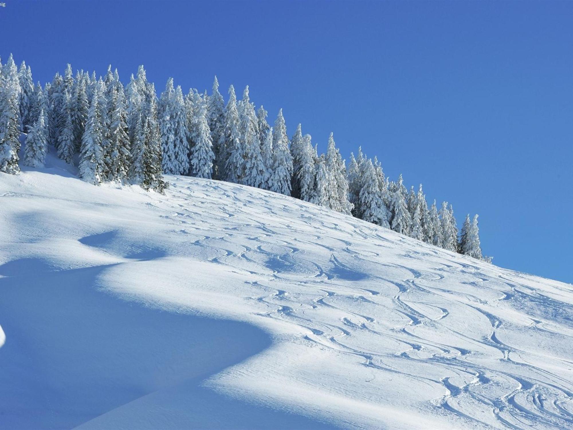 Chalet Apartment In Saalbach Hinterglemm エクステリア 写真