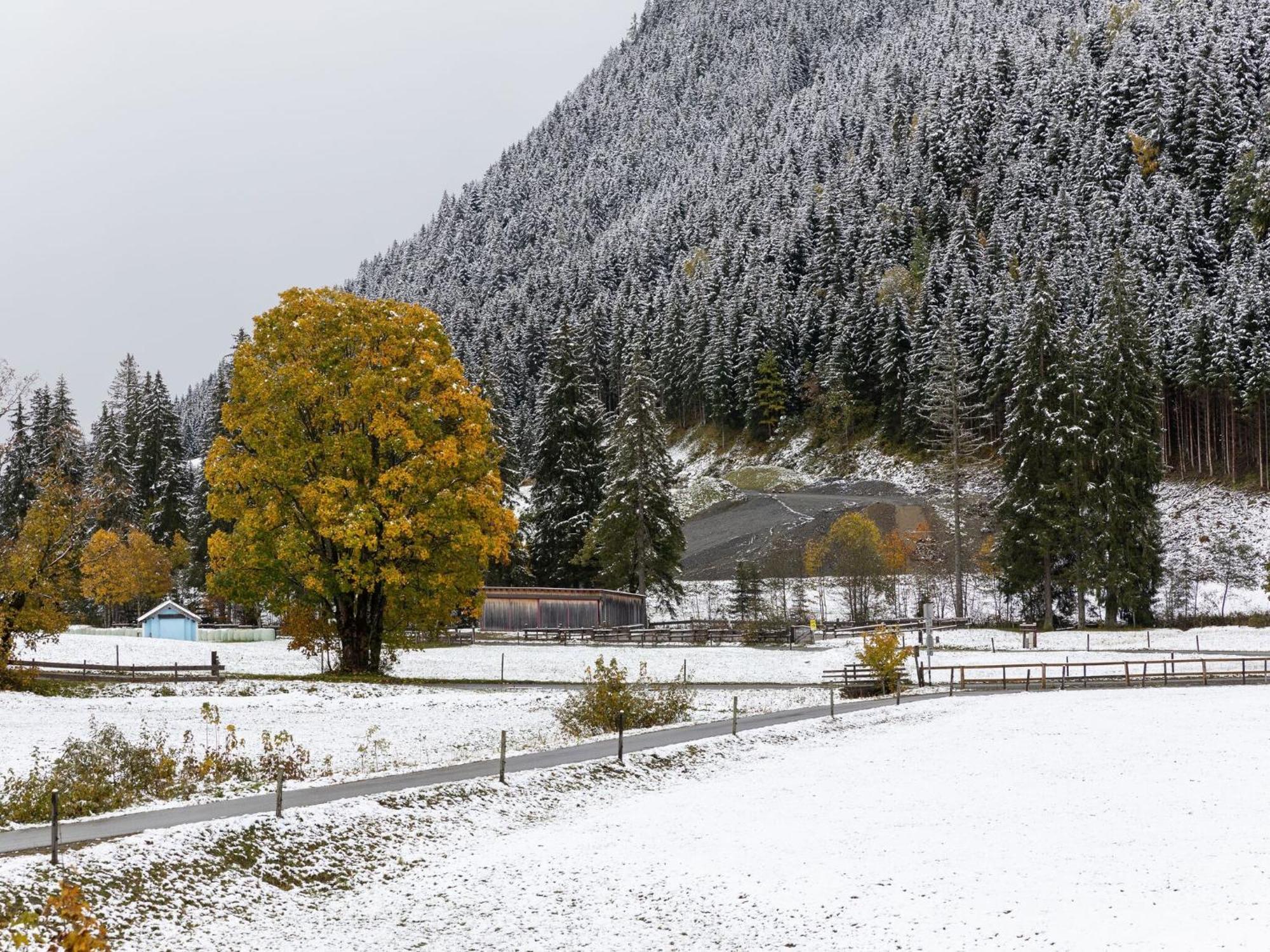 Chalet Apartment In Saalbach Hinterglemm エクステリア 写真
